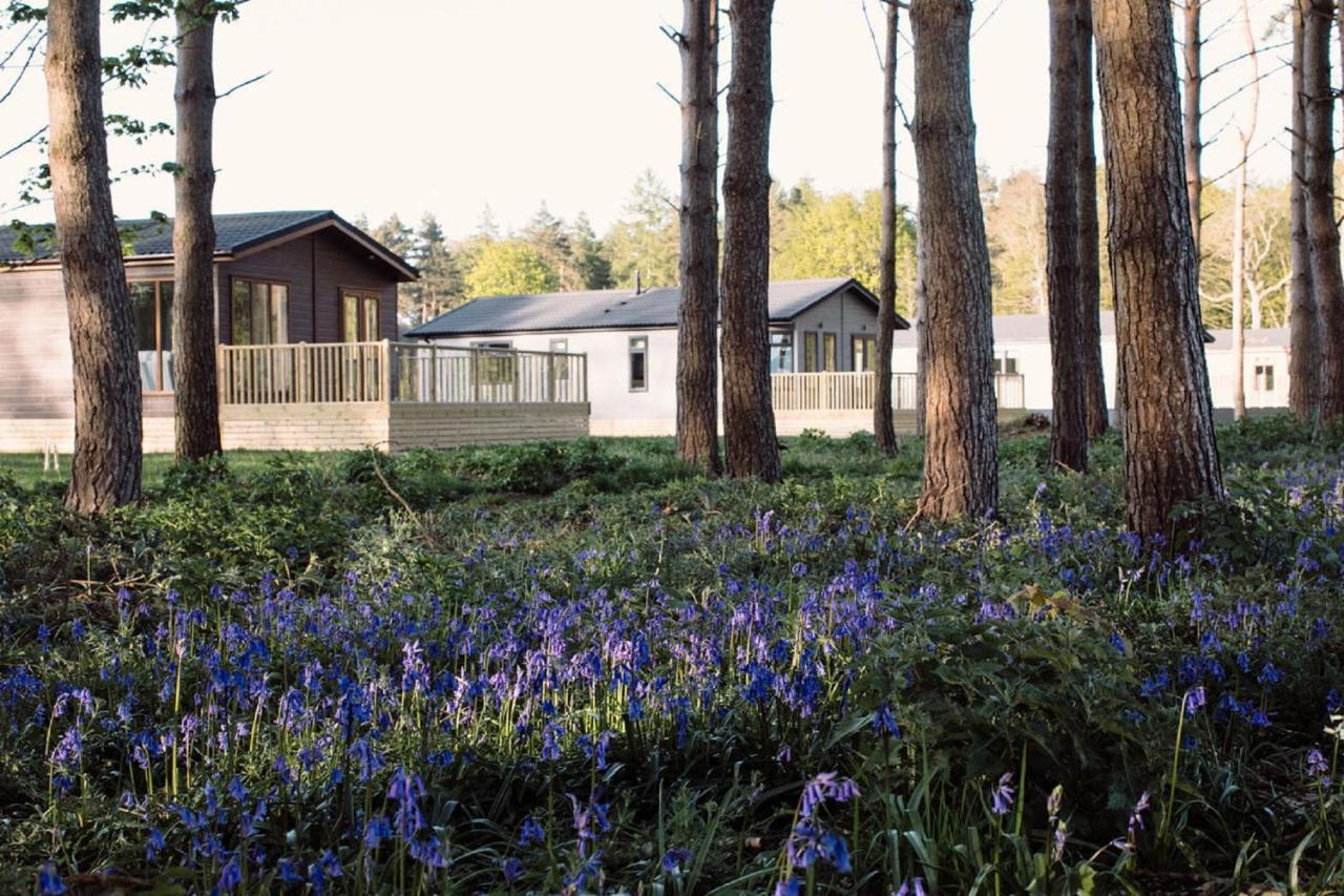 Hollicarrs - Stag Lodge York Exterior photo