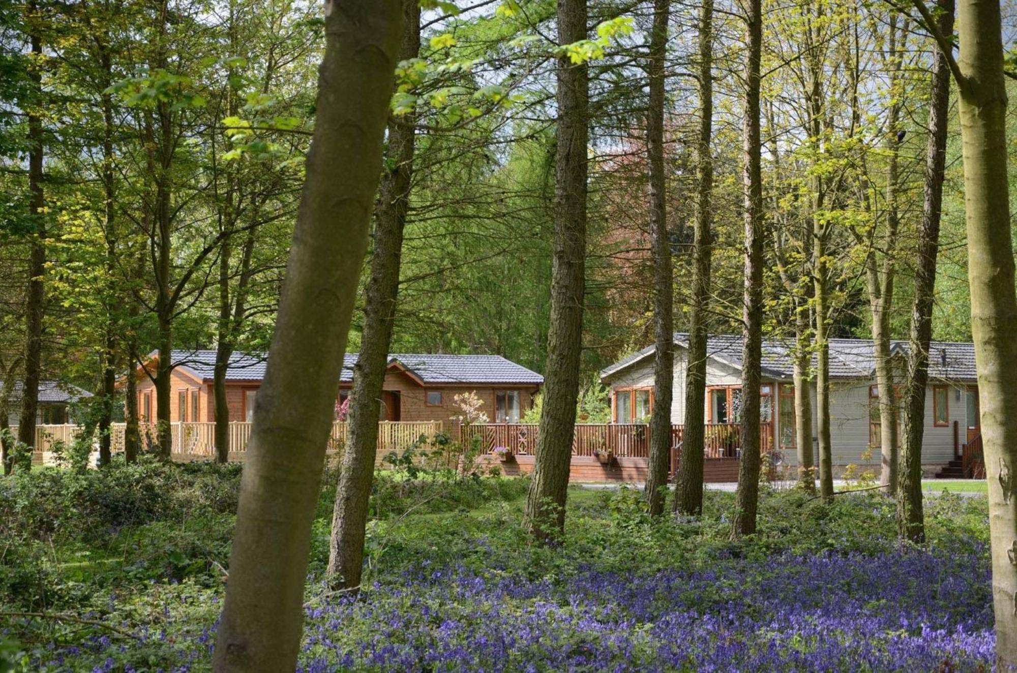 Hollicarrs - Stag Lodge York Exterior photo